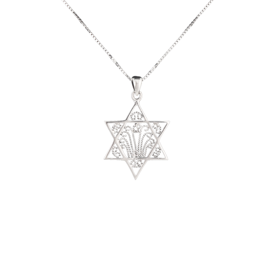 Silver Star of David Necklace with Filigree design