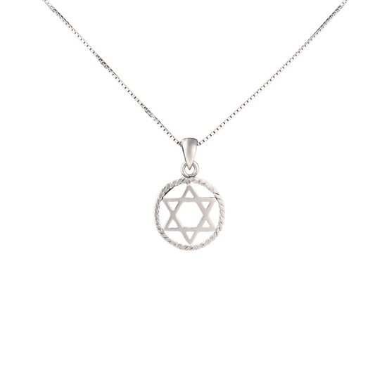 Silver circular rope-style pendant with the star of David in the center on a silver chain