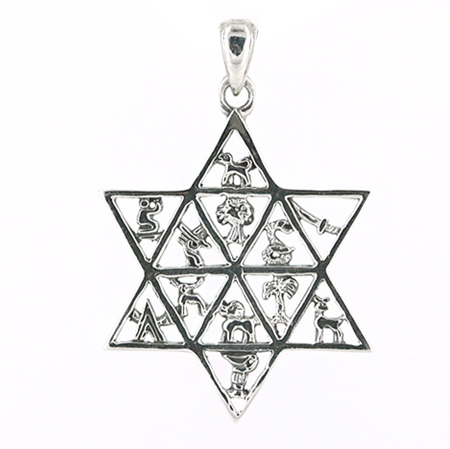 Star of David Twelve Tribes Necklace