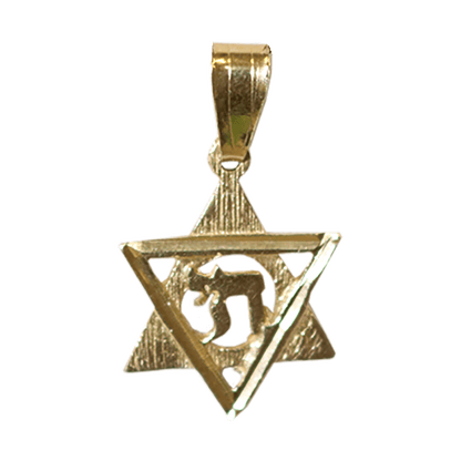 Chai Star of David Necklace - 14k Gold