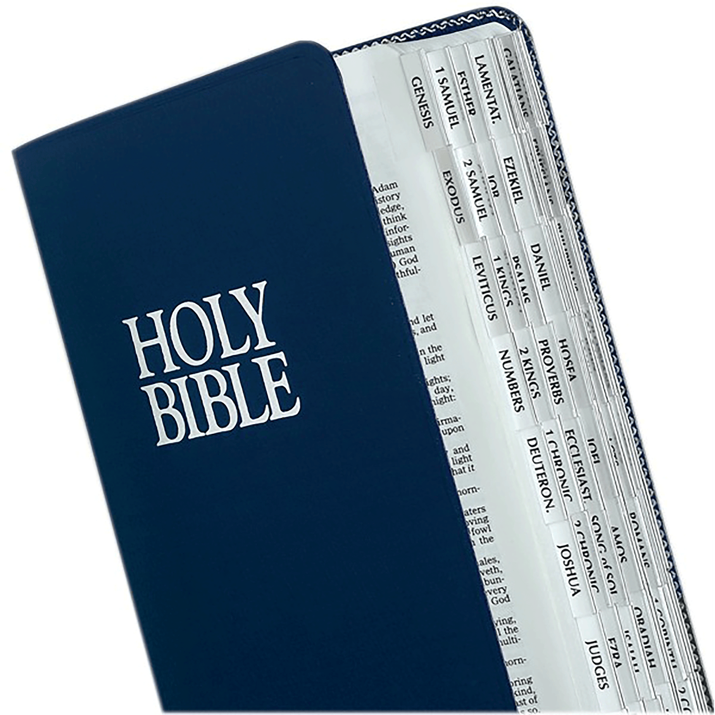 Bible Tabs - Silver Edge
