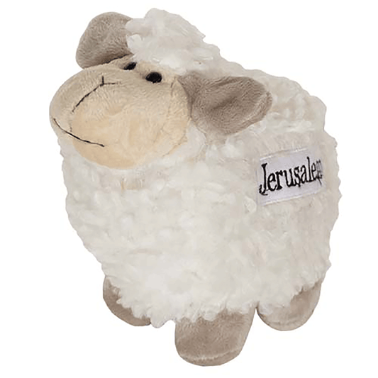 Fuzzy Jerusalem Sheep