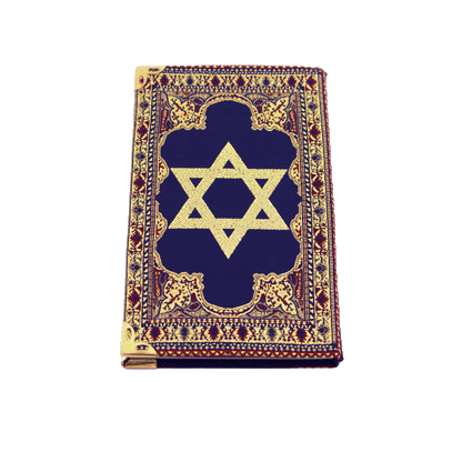 Blue notebook with gold and red stitching and a Star of David on the front and back