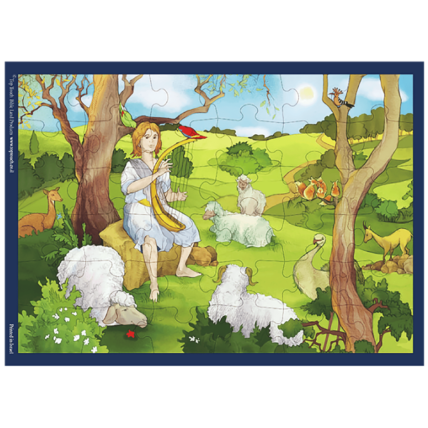 David The Shepherd Puzzle