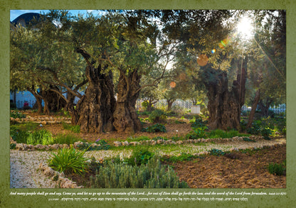 Out of Zion Calendar (Sept 2025 - Dec 2026)