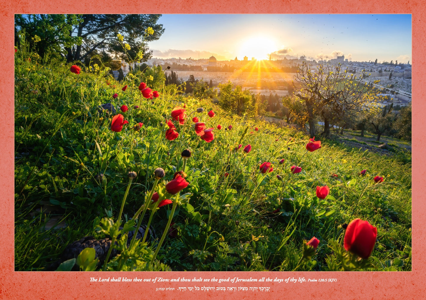 Out of Zion Calendar (Sept 2025 - Dec 2026)