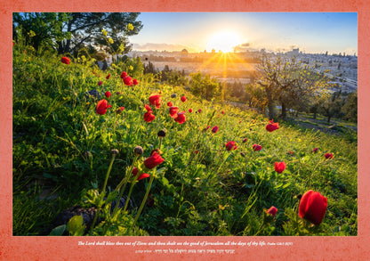 Out of Zion Calendar (Sept 2025 - Dec 2026)