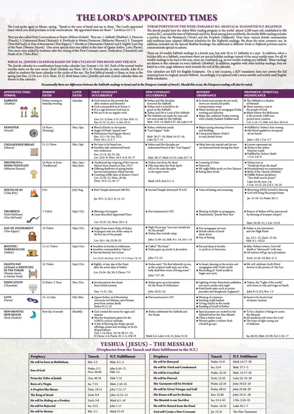 Out of Zion Calendar (Sept 2025 - Dec 2026)