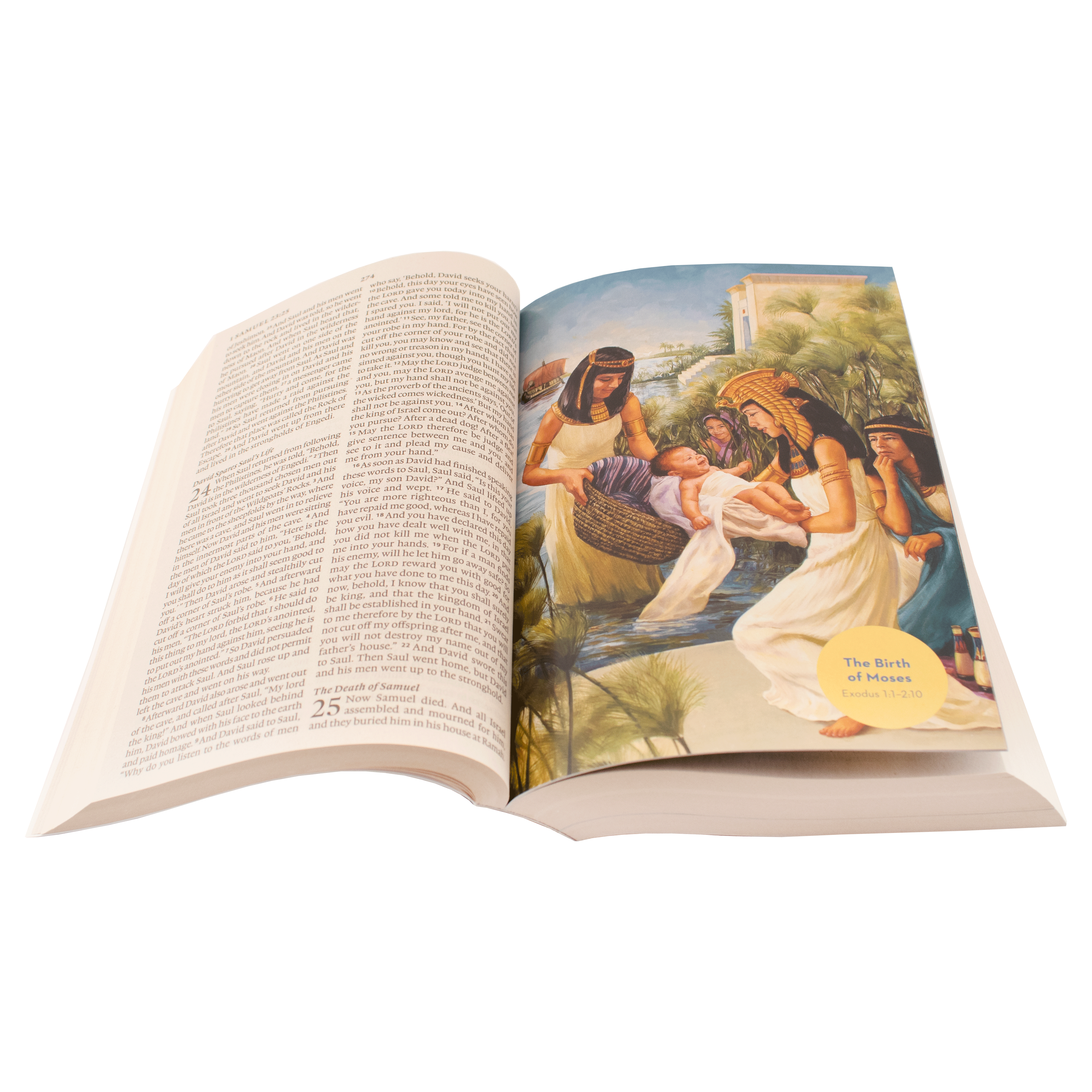 ESV Holy Bible For Kids, Softcover – Holyland Marketplace