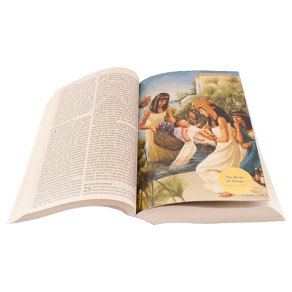 ESV Holy Bible for Kids, Softcover