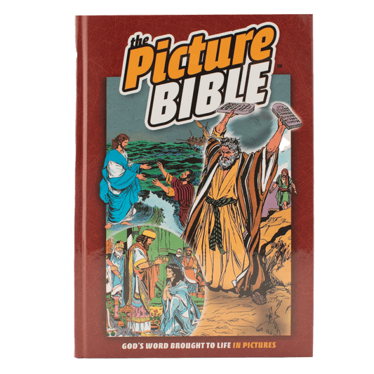 The Picture Bible, Hardcover