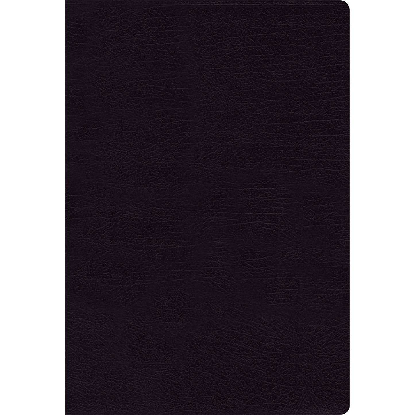 NASB Comfort Print Thinline Bible