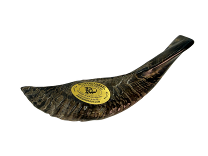 Ram's Horn Shofar 11" - 12" - Half Polished