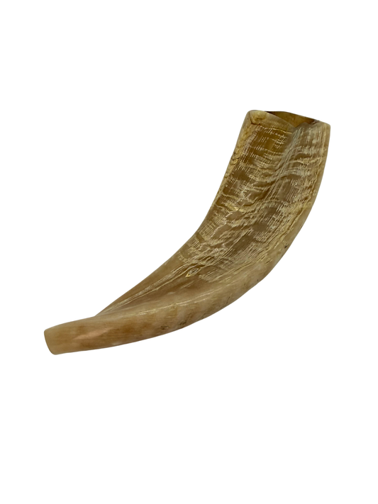 Ram's Horn Shofar 11" - 12" - Half Polished