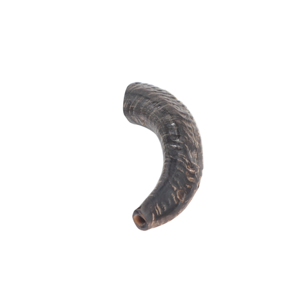 Ram's Horn Shofar 11" - 12" - Natural