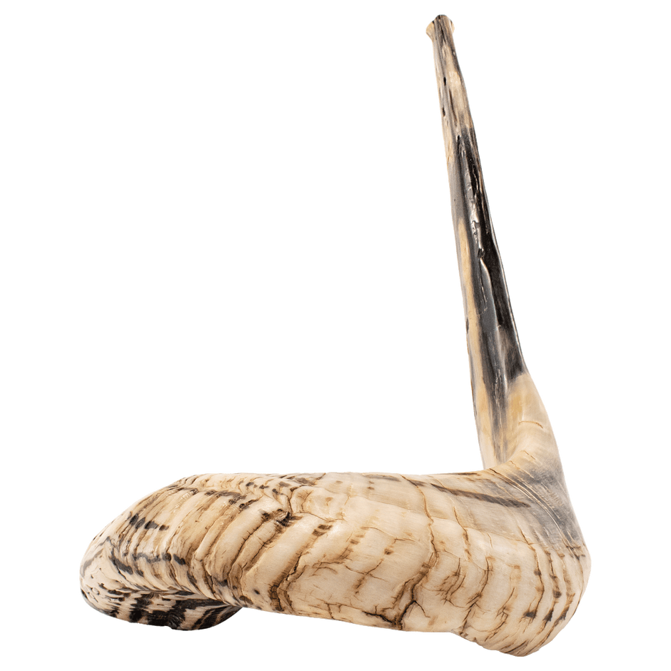 Gifts Other Shofars & Accessories Holyland Marketplace