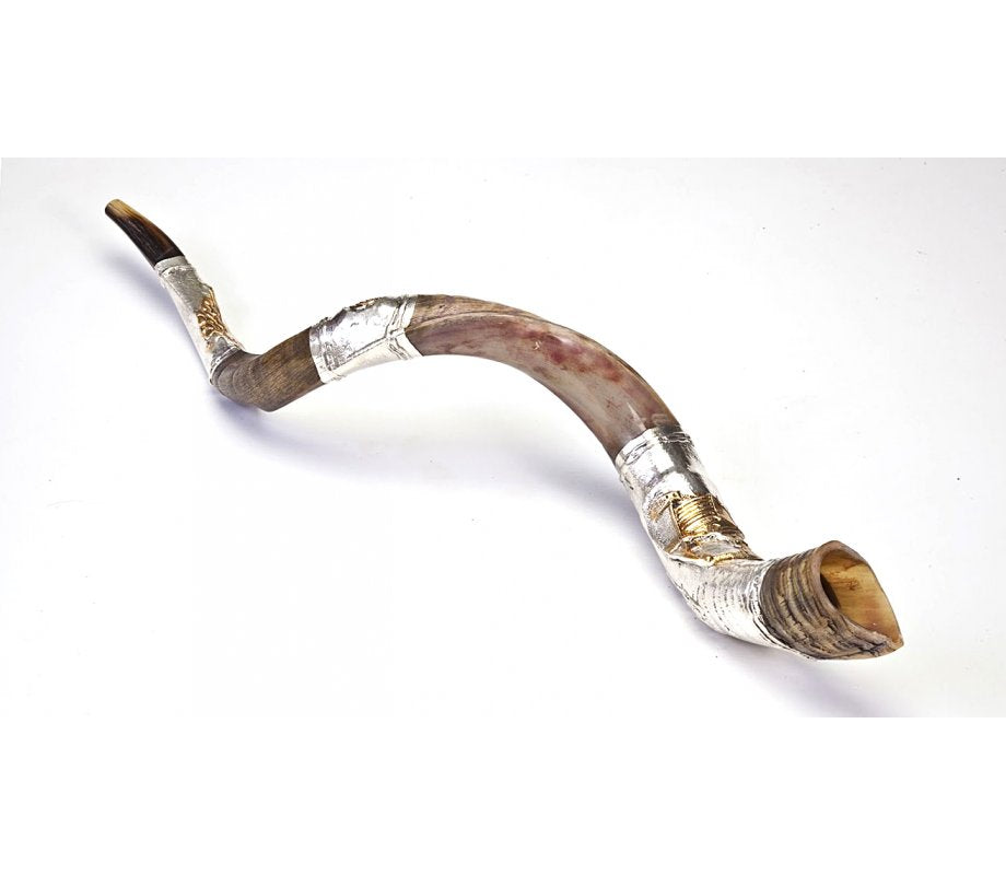 Yemenite Shofar 40" - 42"- Silver Plated Temple Design
