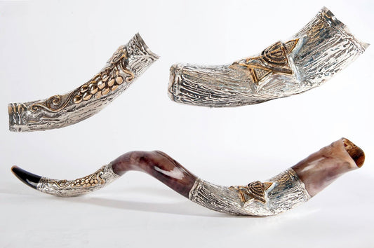 Yemenite Shofar 40" - 42" - Silver Plated Star of David and Grapevine Design