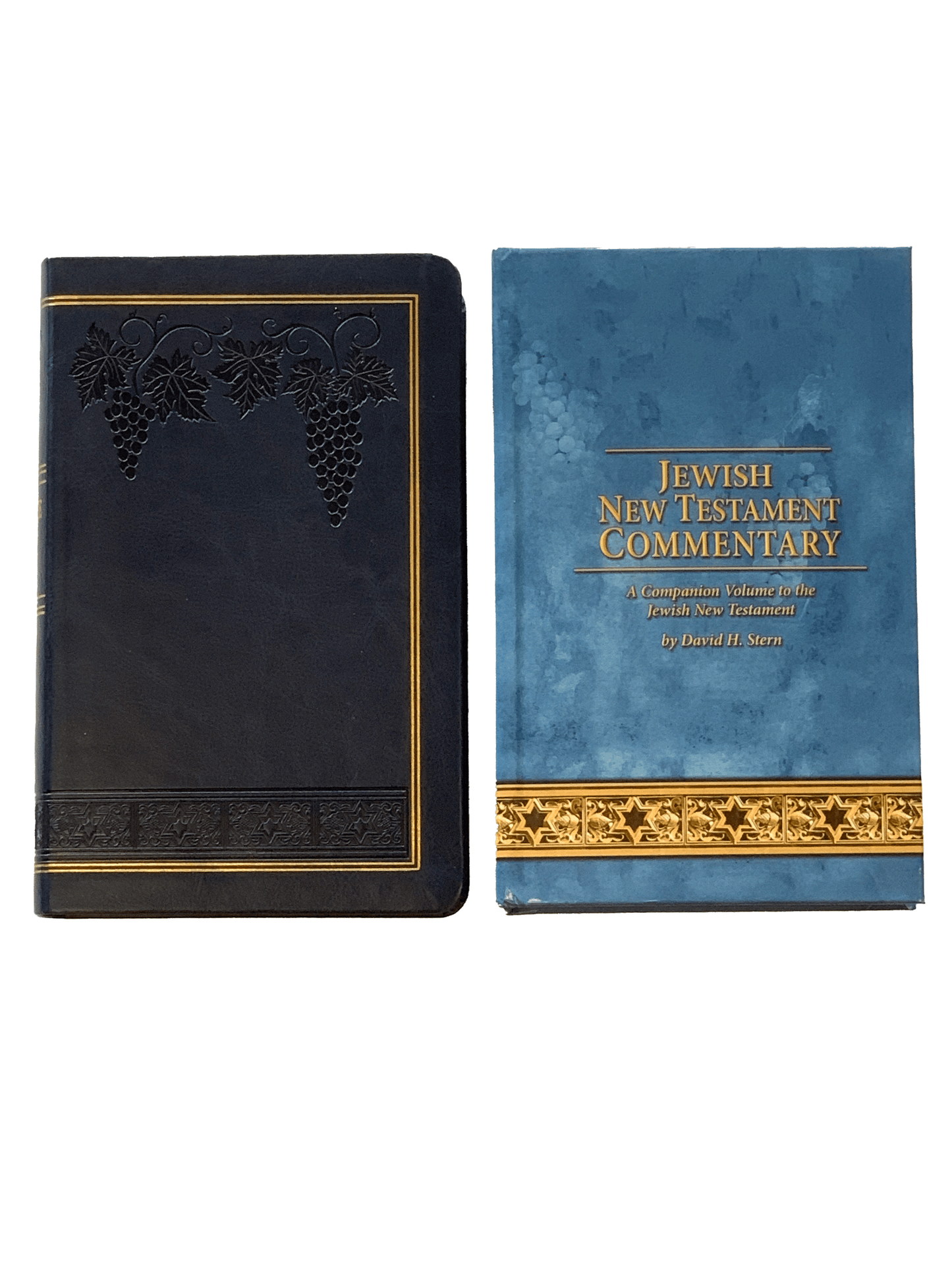 Complete Jewish Bible (flexisoft) and a Jewish New Testament Commentary