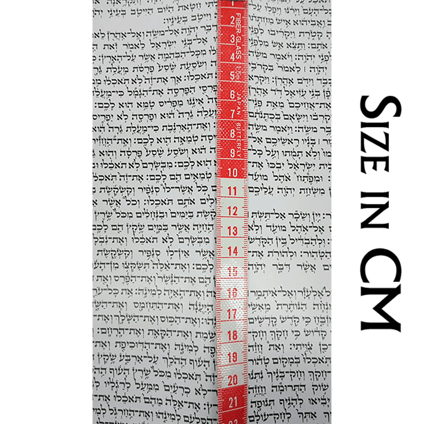 Extra large Torah Scroll