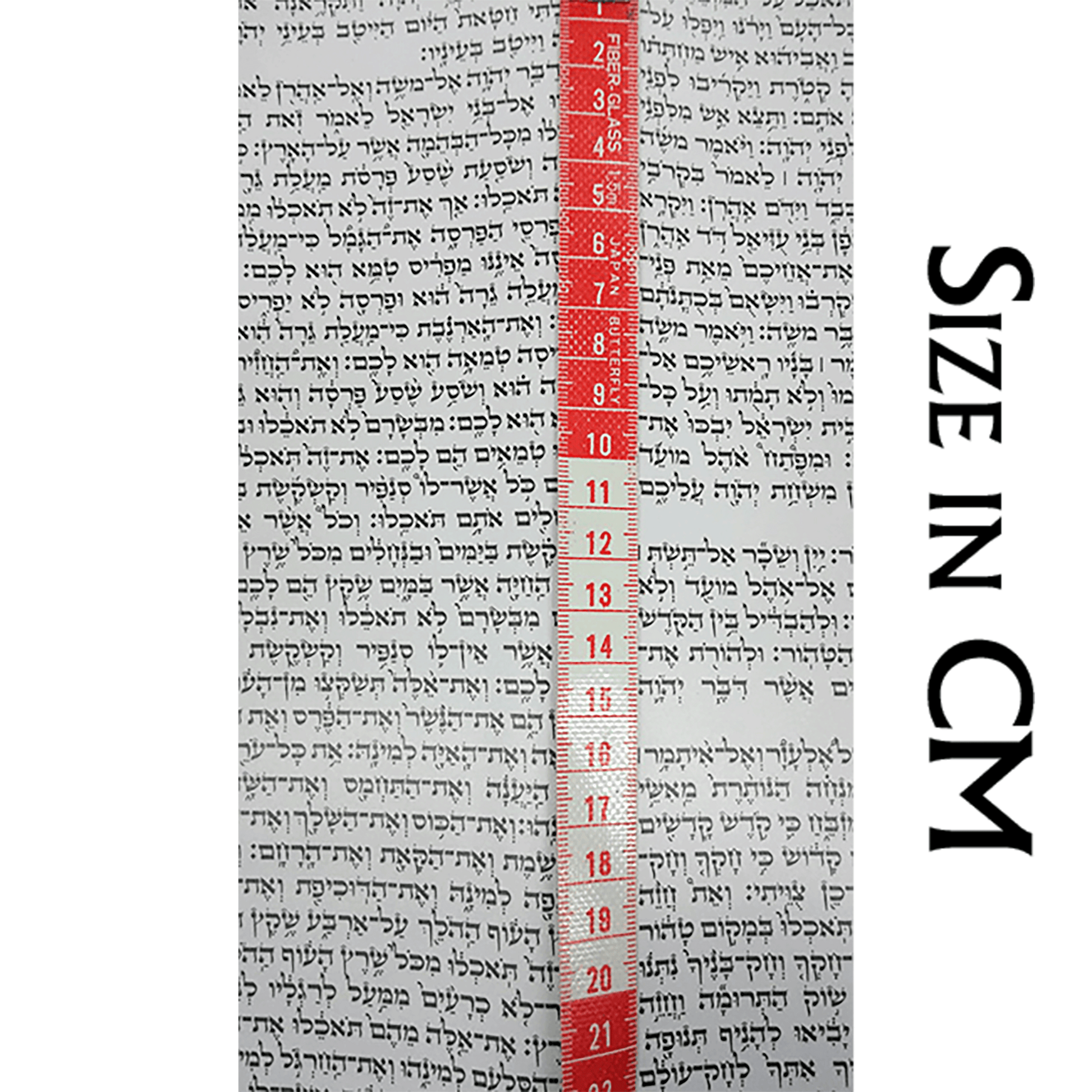 Extra large Torah Scroll