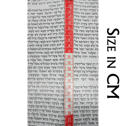 Extra large Torah Scroll