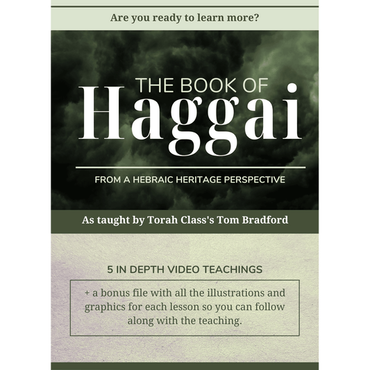 Haggai (Video) Teaching by Tom Bradford