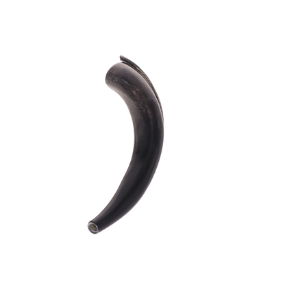 Yemenite Shofar 15"-19" - Fully Polished