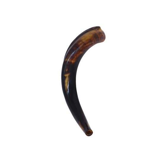 Yemenite Shofar 15"-19" - Fully Polished