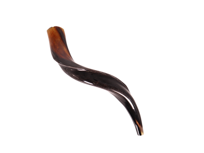 Yemenite Shofar 20"-23" - Fully Polished