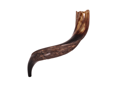 Yemenite Shofar 20"-23" - Half Polished