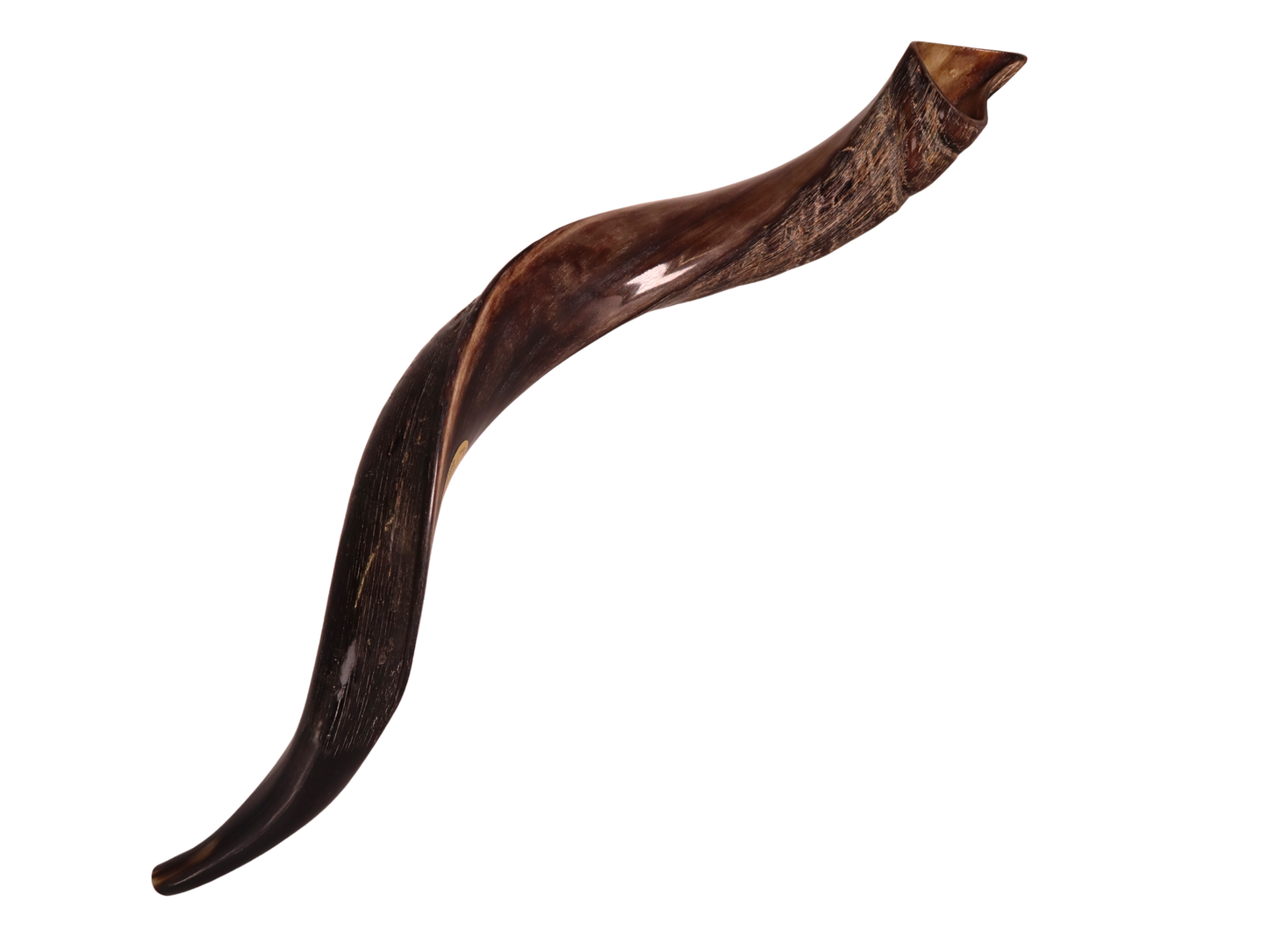 Yemenite Shofar 28"-31" - Half Polished