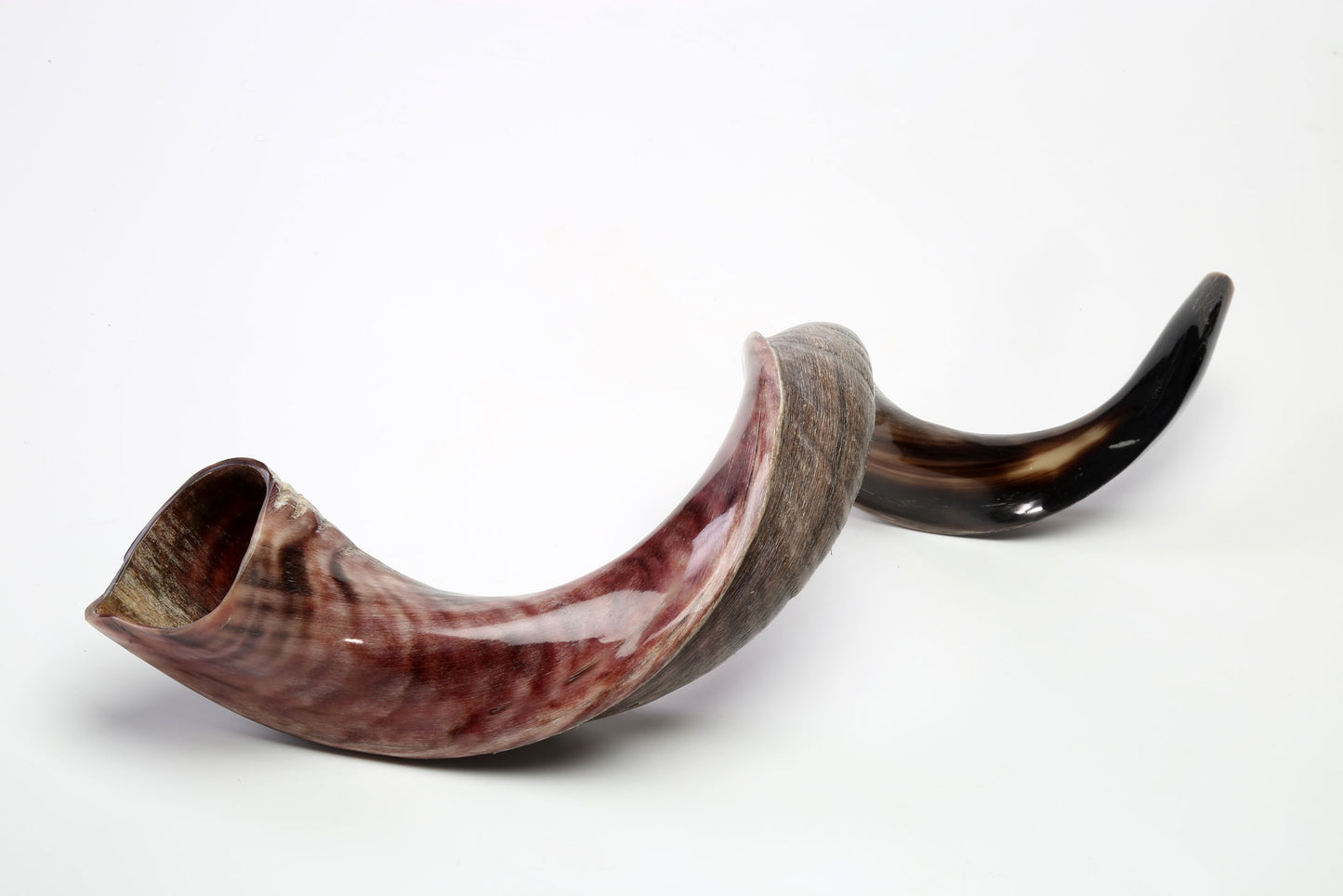Yemenite Shofar 32"-35" - Half Polished