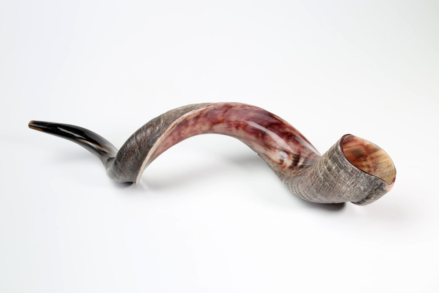 Yemenite Shofar 36"-39" - Half Polished