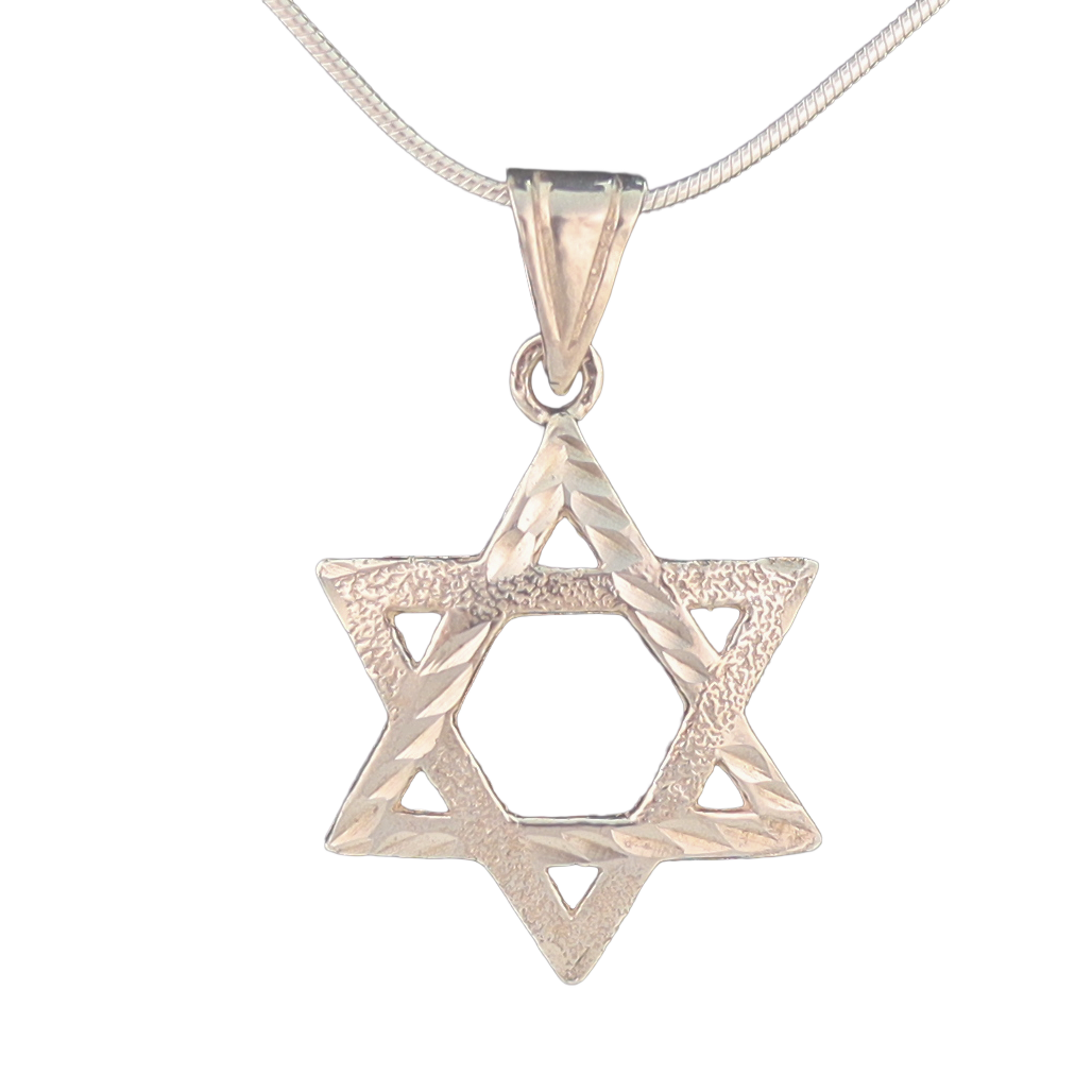 Sterling silver textured star of David pendant on silver chain