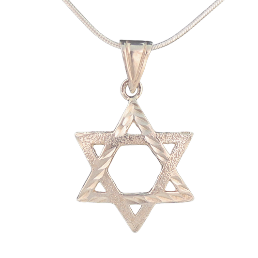 Sterling silver textured star of David pendant on silver chain