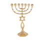 7.5" Polished Brass Grafted in Menorah