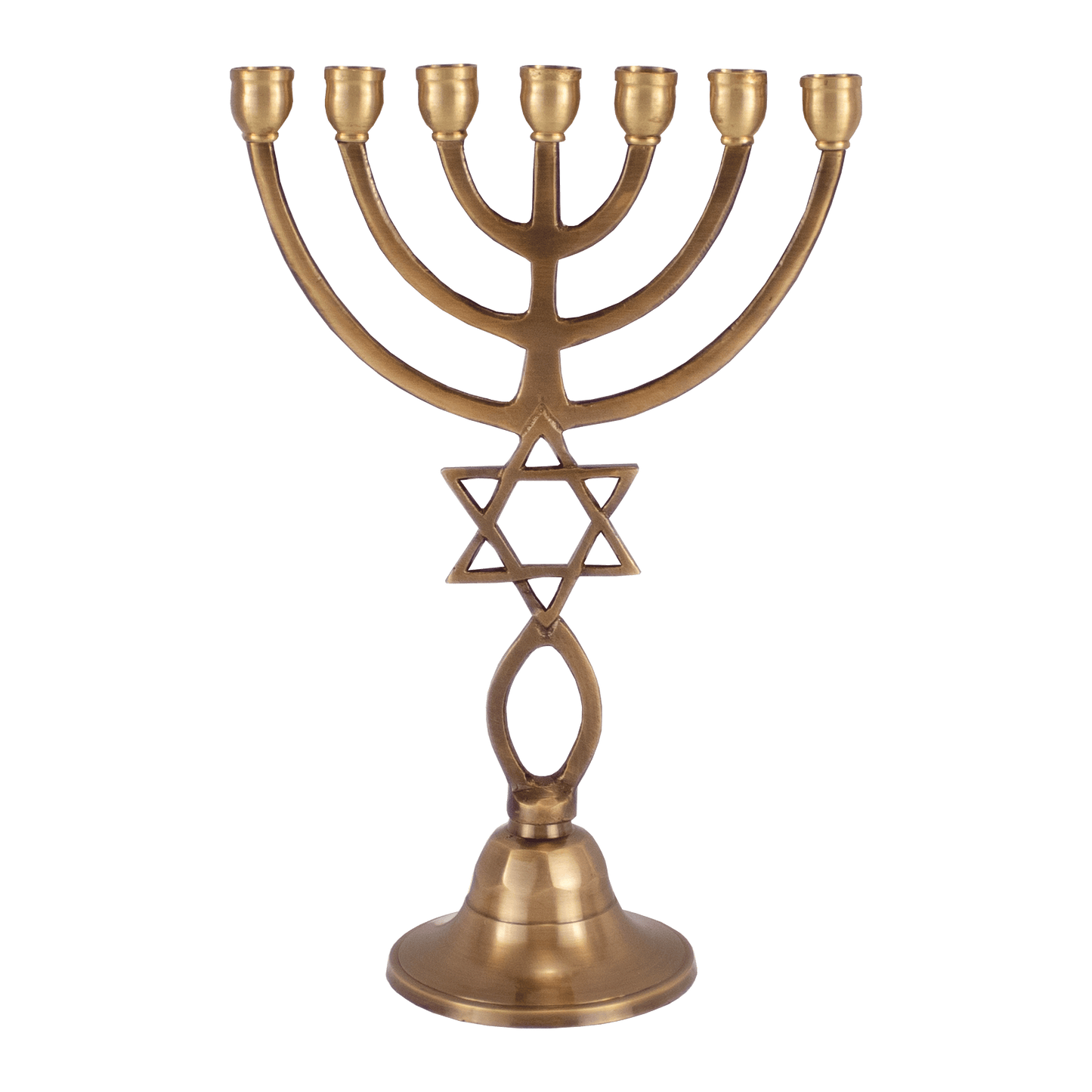 9"  Solid Brass Grafted-In Menorah