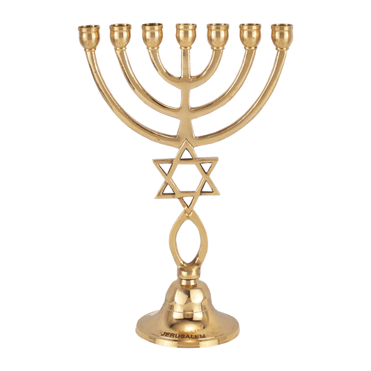 9"  Polished Brass Grafted-In Menorah