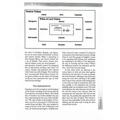 Numbers Adult Textbook (Kindle)