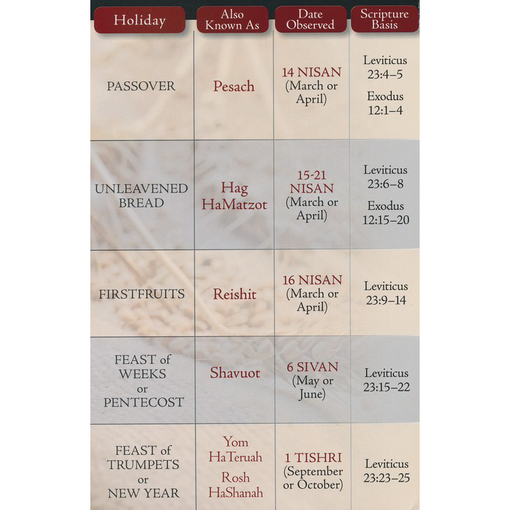 Feasts of the Bible Pamphlet Holyland Marketplace