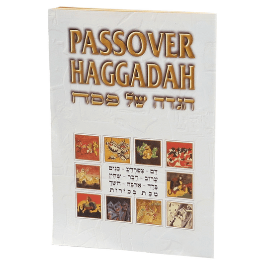 passover Haggadah soft cover book front cover with hebrew writing and ancient images 