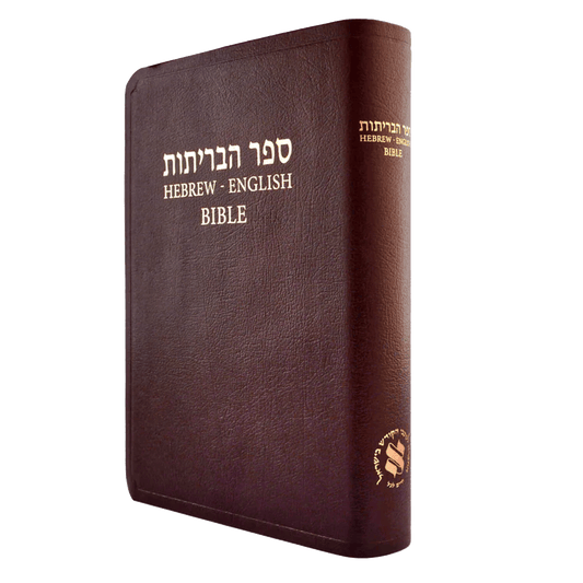 Hebrew-English (NASB) Cover Diglot Bible - Leather