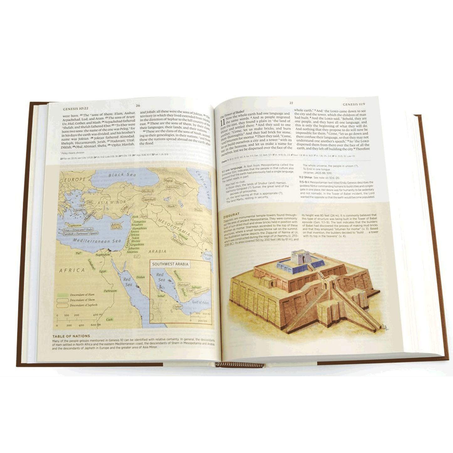 ESV Archaeology Study Bible - Hardcover