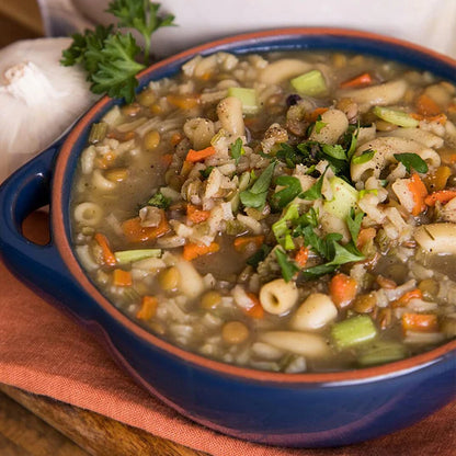 traveler's stew in blue and orange bowl with green garnish 