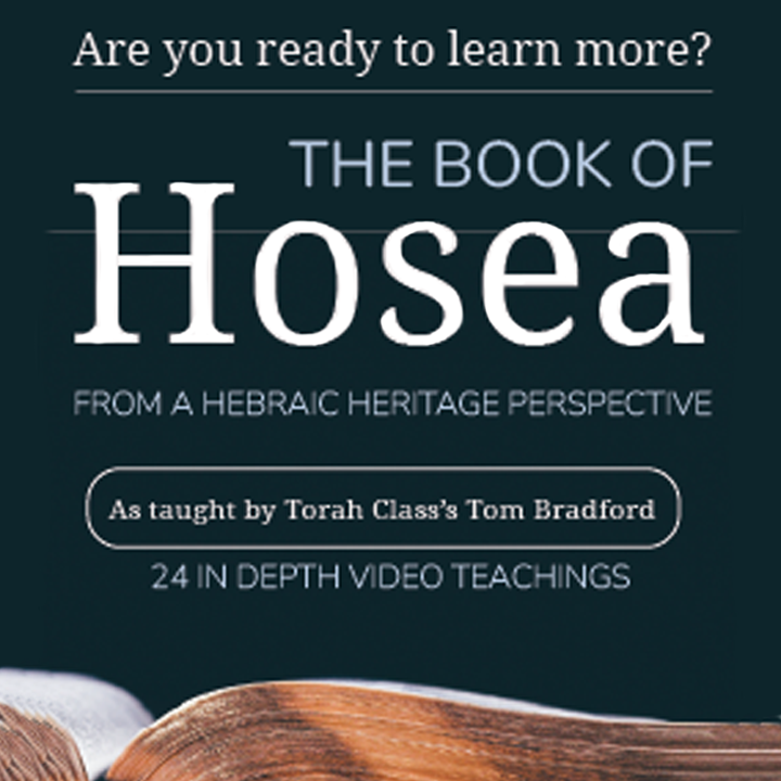 Hosea (Video) Teachings by Tom Bradford