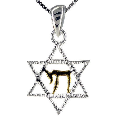 Chai Star of David Necklace