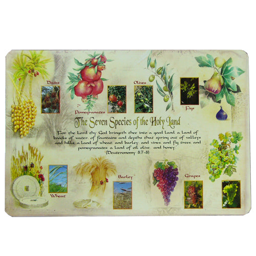 Seven Species (2 sided) Poster/Placemat
