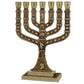 9.5" Knesset Brass Menorah