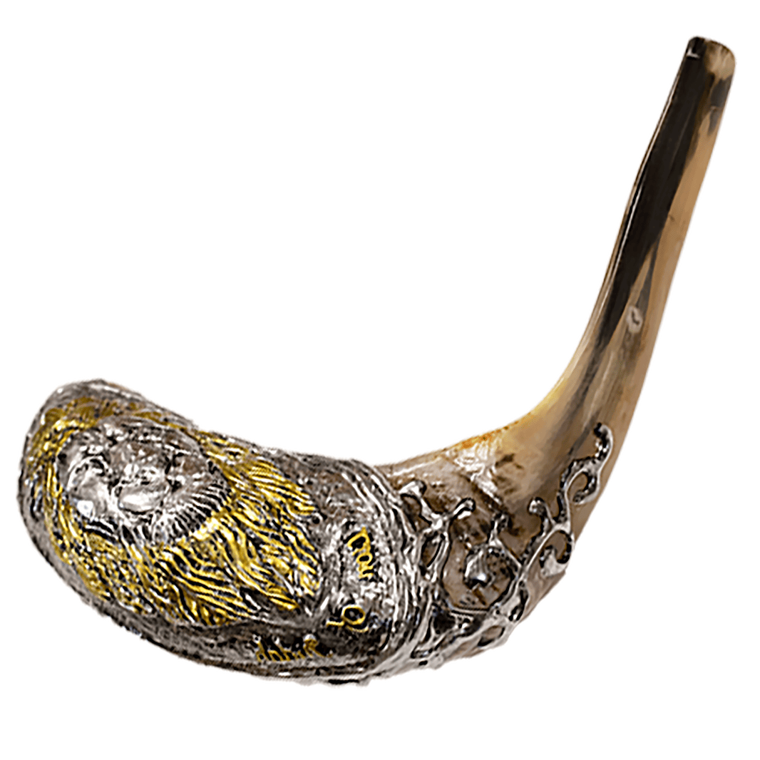 Judaica Shofars Holyland Marketplace